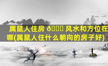 属鼠人住房 🐅 风水和方位在哪(属鼠人住什么朝向的房子好)